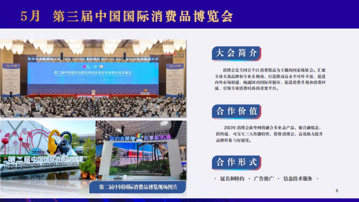 新华网2023服务资源介绍_第8页