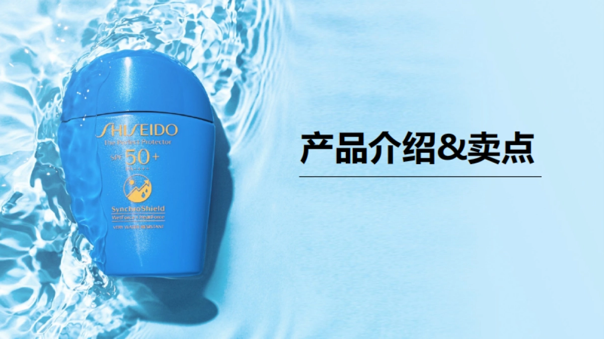 资生堂蓝胖子brief_第2页