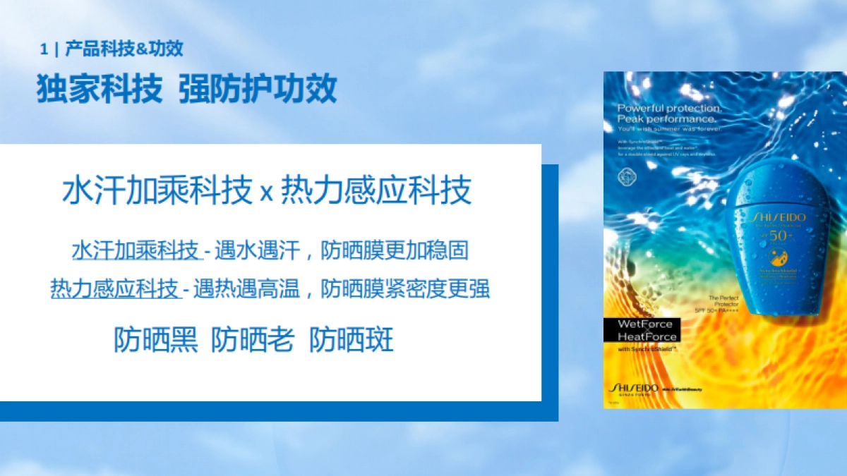 资生堂蓝胖子brief_第4页