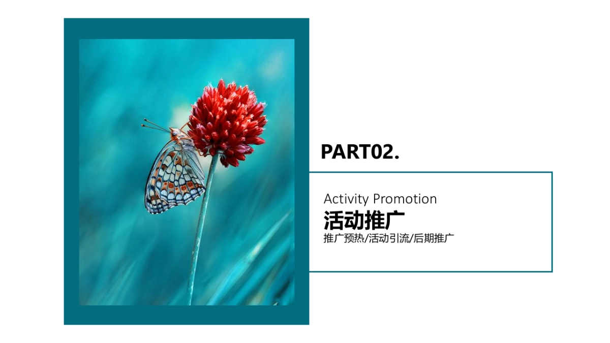 禾丰兰花小镇景区五一文化旅游节活动策划方案_第8页