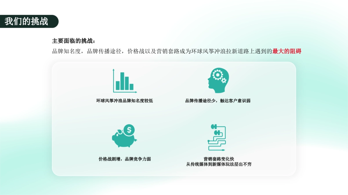 环球风筝冲浪小红书投放方案_第5页