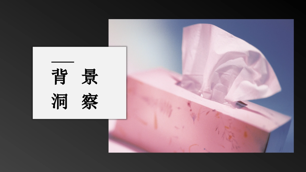 中顺洁柔2023线上整合营销方案_第4页