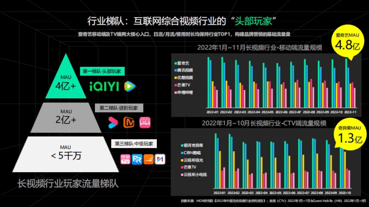 2023爱奇艺重点资源推介通案_第6页