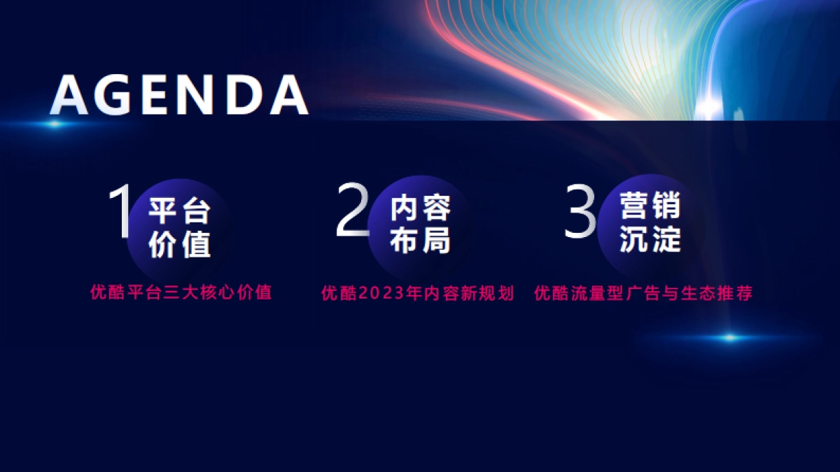 2023优酷媒体通案_第2页