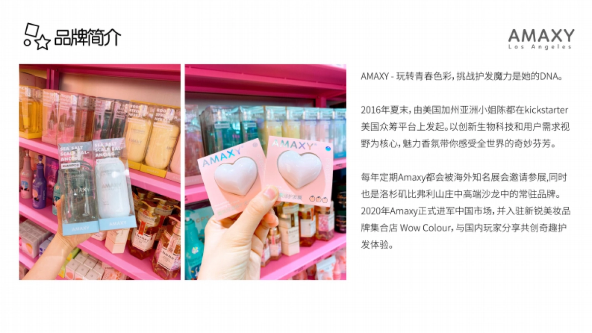 AMAXY产品介绍_第3页