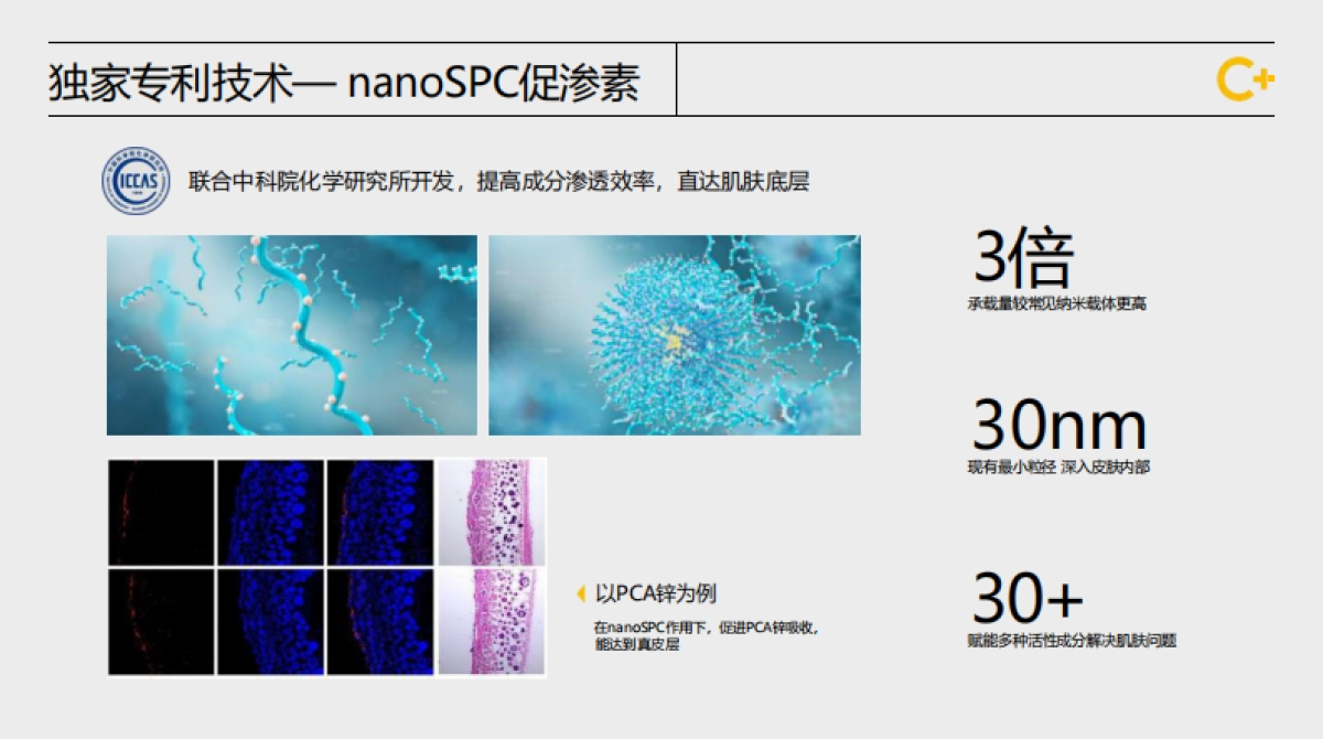 C咖品牌介绍_第8页