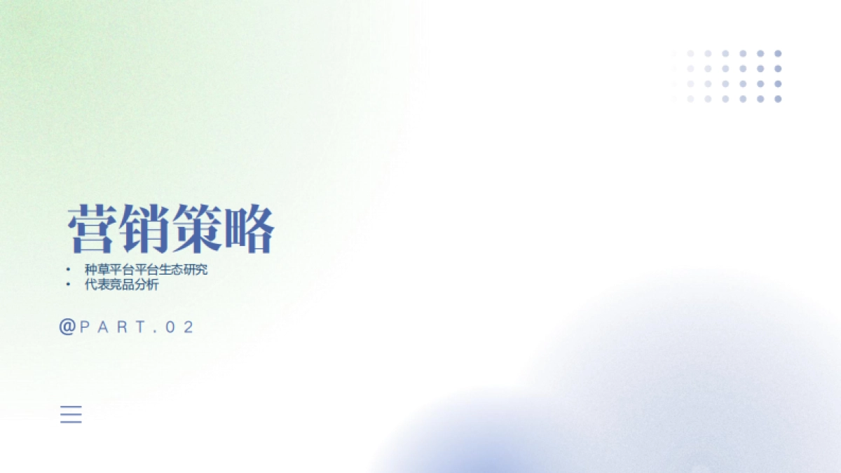 jakemans年度营销规划_第7页