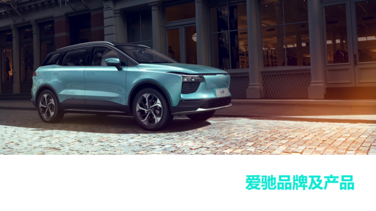 国产新能源汽车品牌-品牌手册_第1页