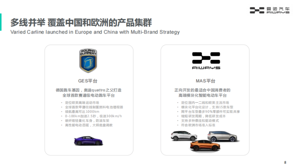 国产新能源汽车品牌-品牌手册_第8页