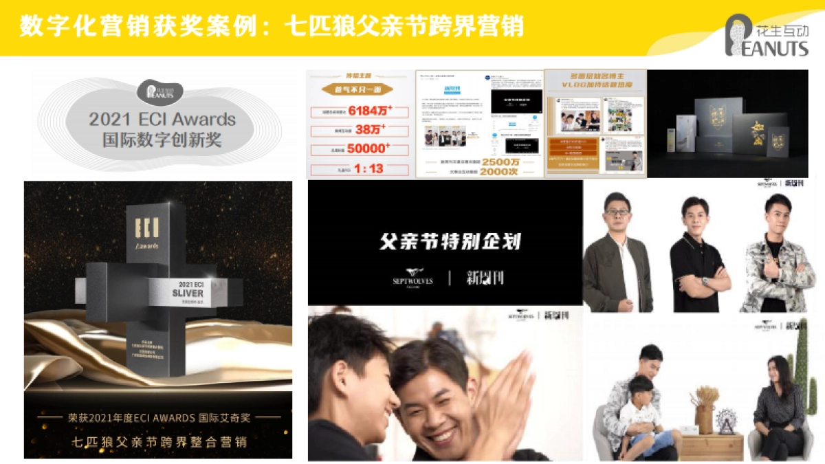 花生互动简介-2022年_第7页