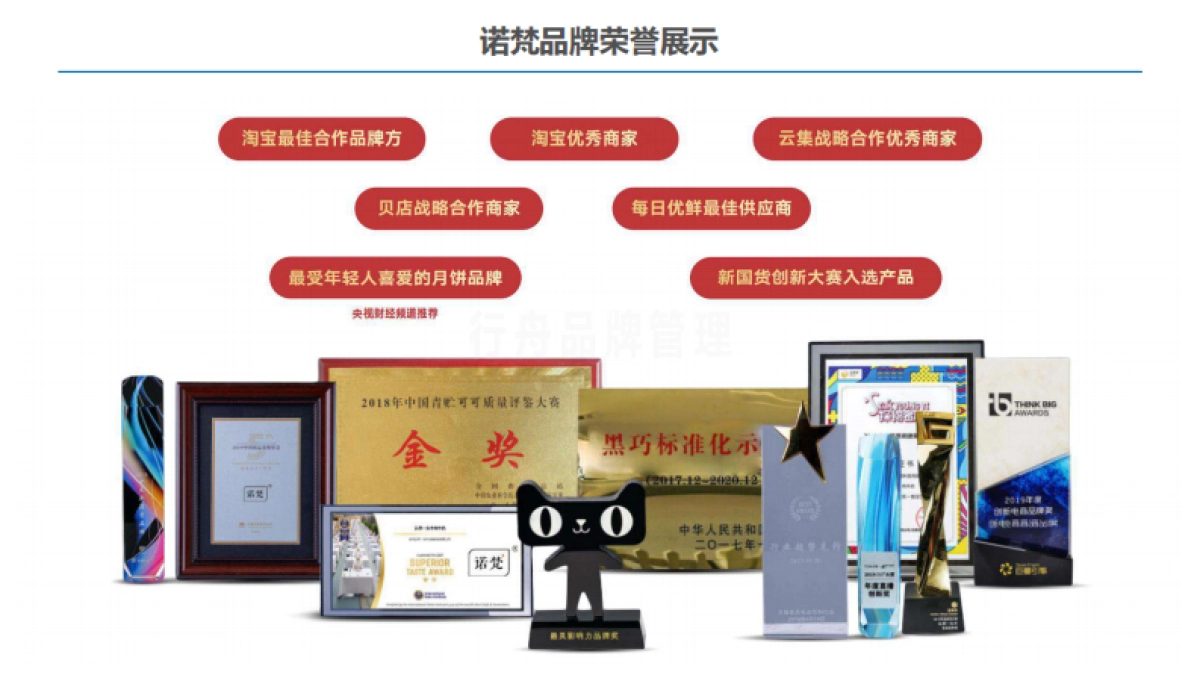 诺梵巧克力-品牌诊断 营销战略规划_第6页