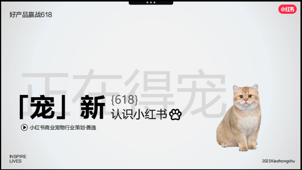 小红书2023年宠物行业618营销攻略_第2页