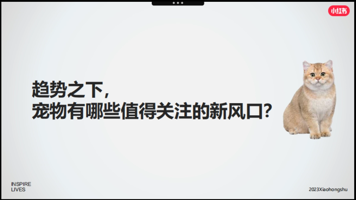小红书2023年宠物行业618营销攻略_第8页