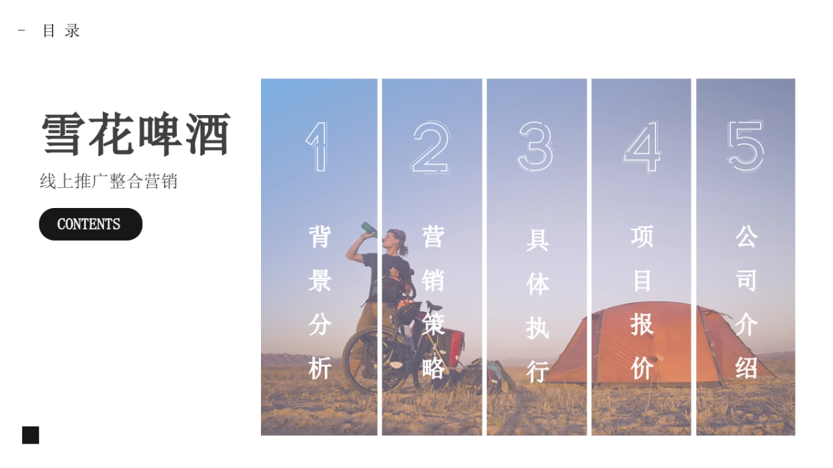 雪花啤酒线上推广品牌传播整合营销方案_第3页