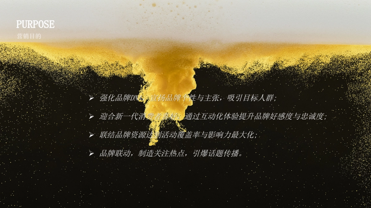 雪花啤酒线上推广品牌传播整合营销方案_第5页