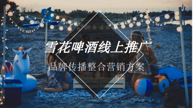 雪花啤酒线上推广品牌传播整合营销方案