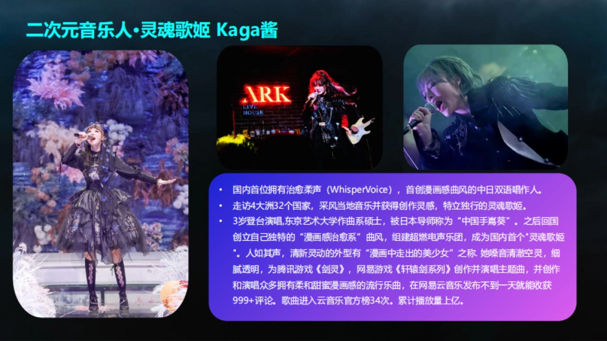 Doisland电音节·燃次元狂欢派对招商案_第9页