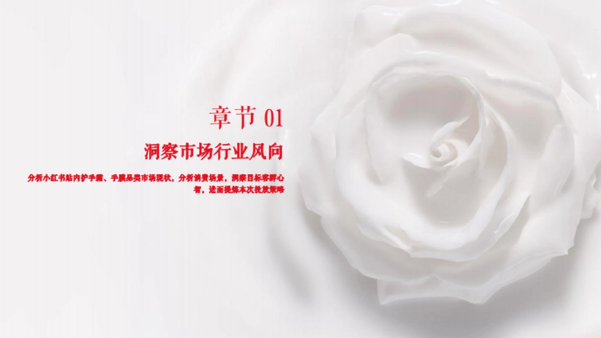 Tal小红书种草执行方案_第3页