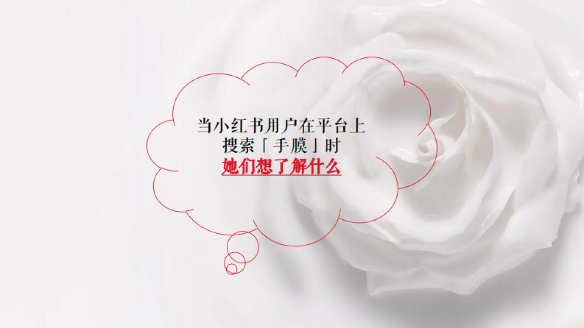 Tal小红书种草执行方案_第8页