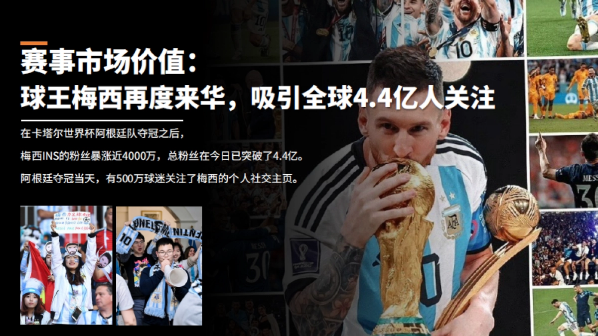 阿根廷vs澳大利亚中国赛招商通案_第10页