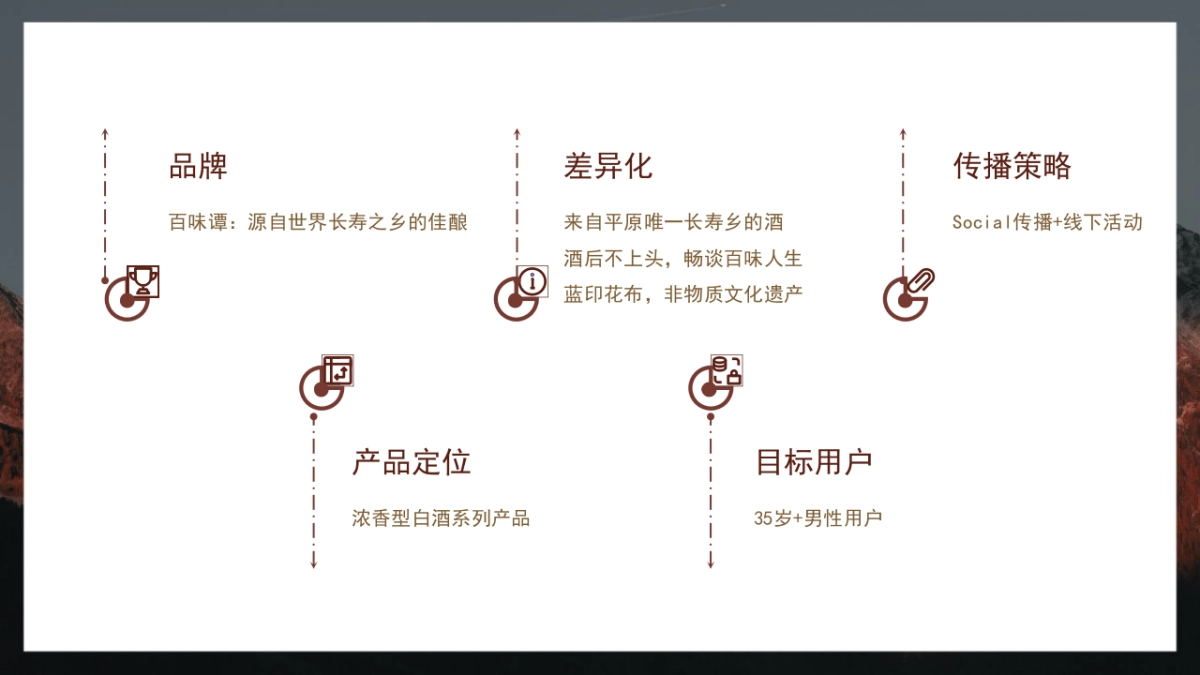 白酒品牌百味谭SOCIAL品牌传播方案_第3页