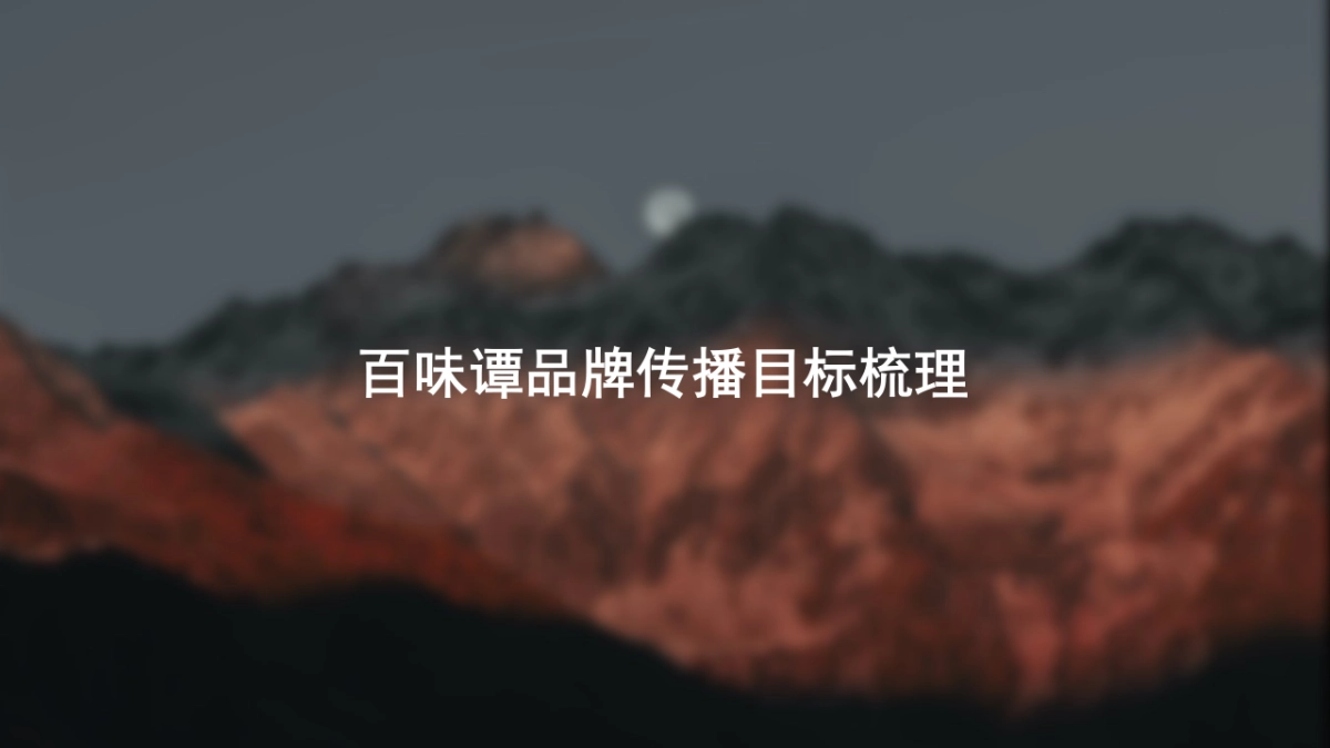 白酒品牌百味谭SOCIAL品牌传播方案_第5页