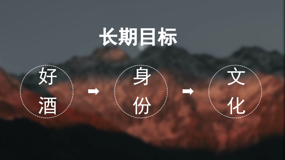 白酒品牌百味谭SOCIAL品牌传播方案_第6页