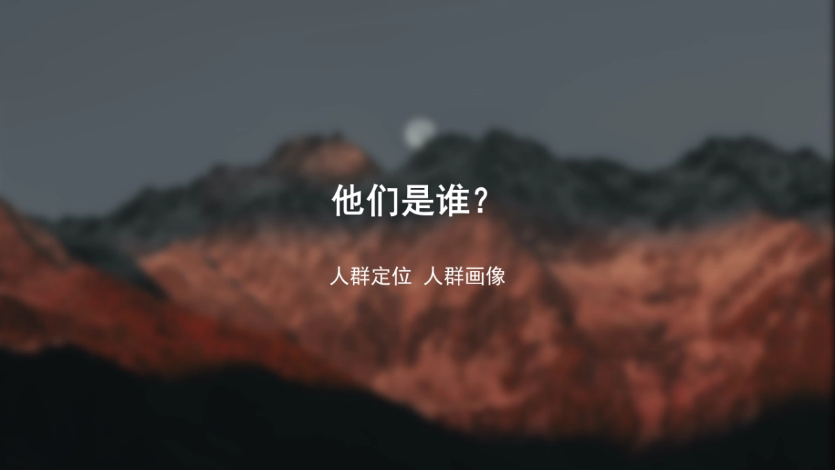 白酒品牌百味谭SOCIAL品牌传播方案_第9页