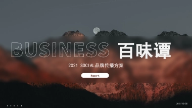 白酒品牌百味谭SOCIAL品牌传播方案