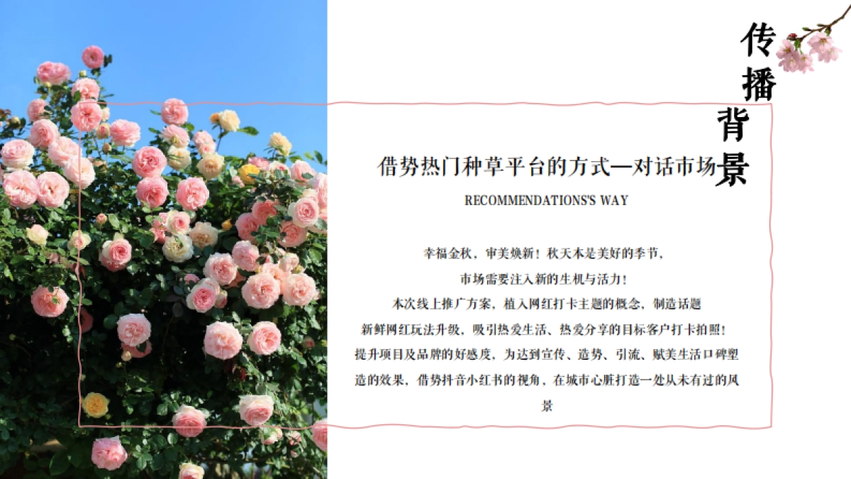 赋美生活花卉门店小红书抖音线上传播方案_第4页