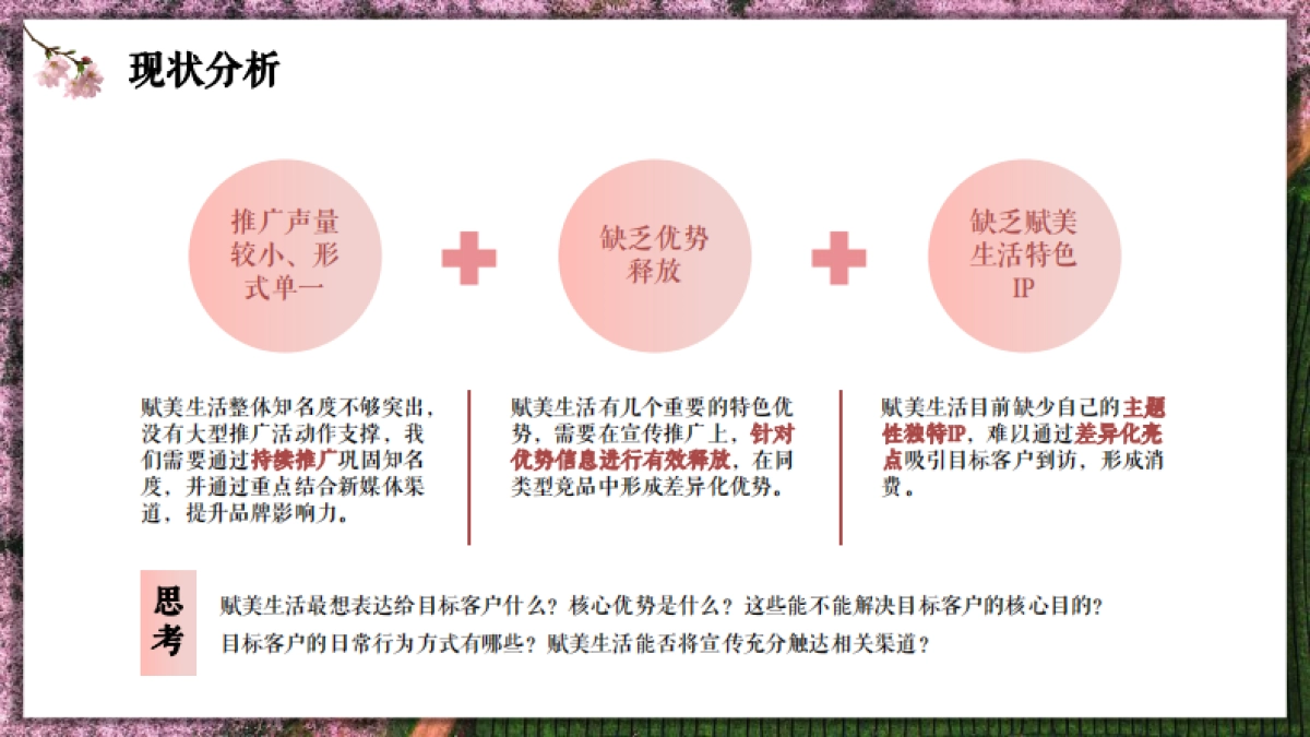 赋美生活花卉门店小红书抖音线上传播方案_第6页