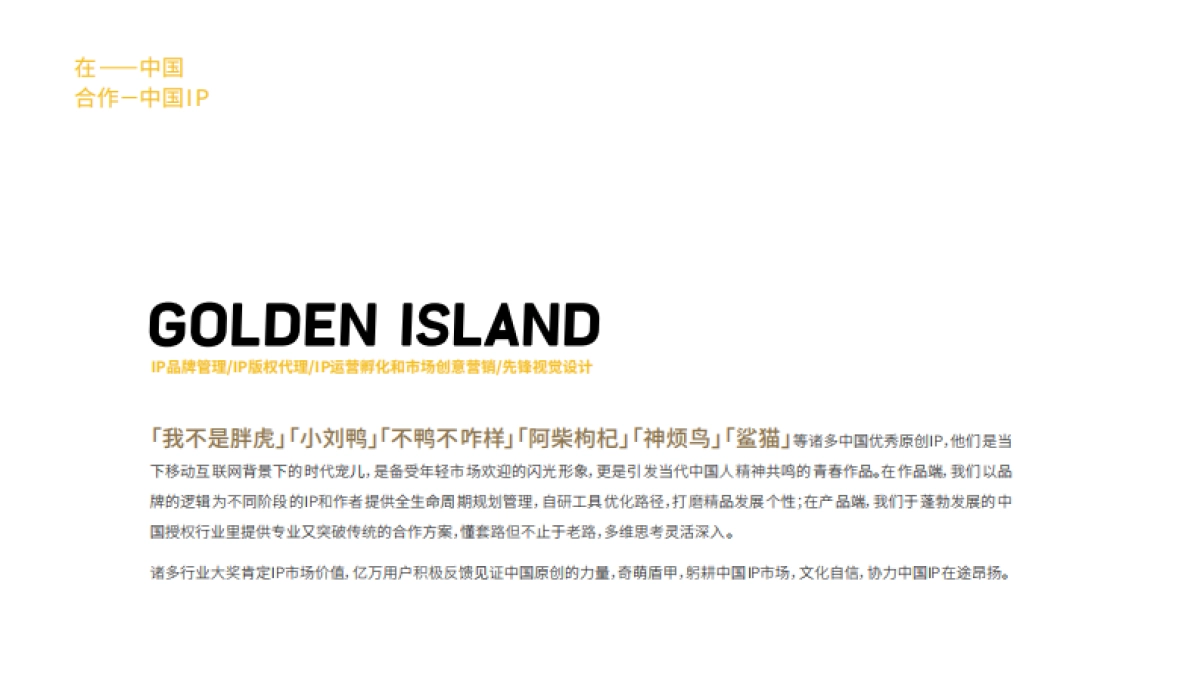关于-奇萌盾甲GoldenIsland_第3页