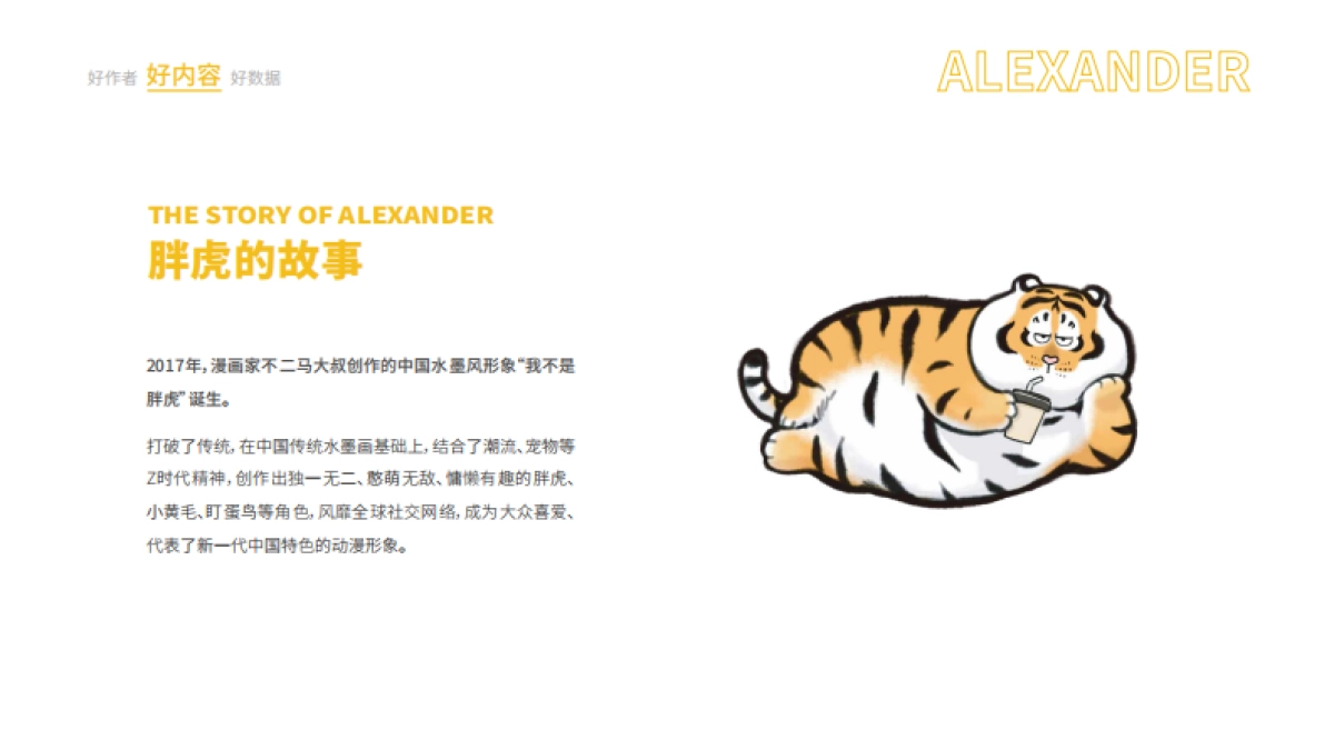 关于-奇萌盾甲GoldenIsland_第6页