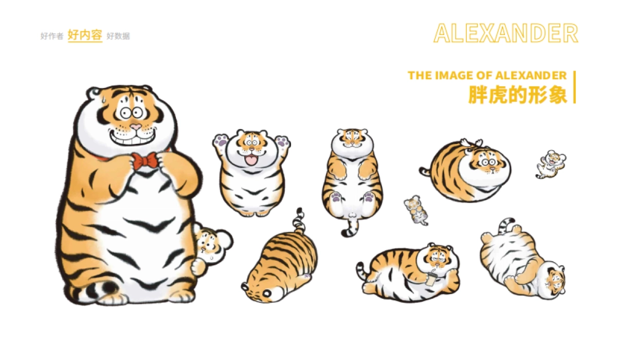 关于-奇萌盾甲GoldenIsland_第7页