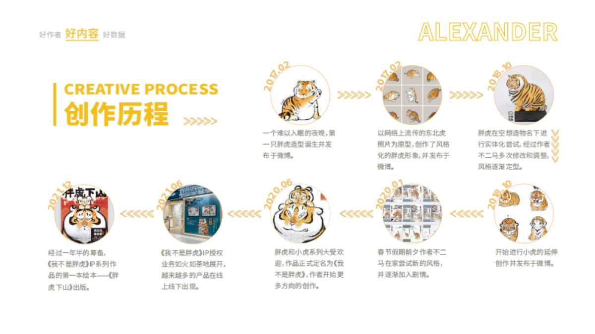 关于-奇萌盾甲GoldenIsland_第8页