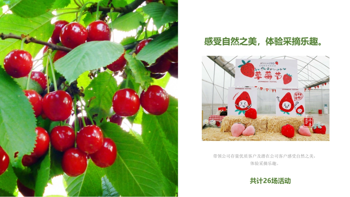 2022年邮政储蓄银行客户活动服务项目策划_第10页