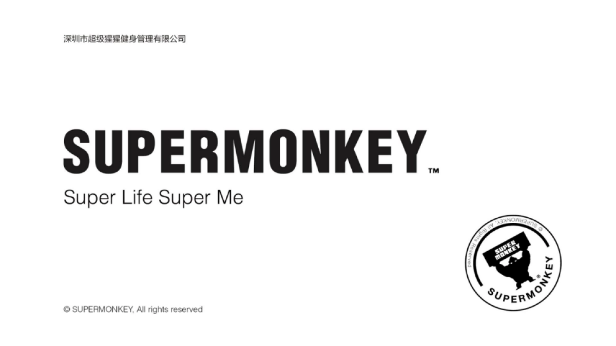 超级猩猩Supermonkey BP商业计划书_第1页