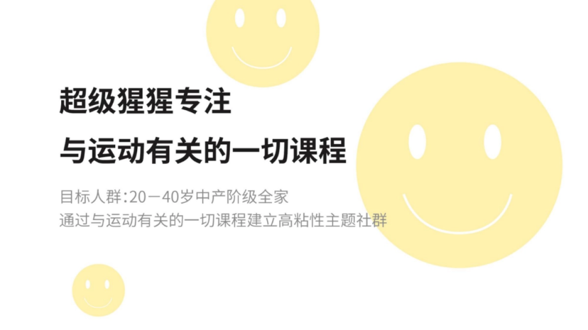 超级猩猩Supermonkey BP商业计划书_第6页