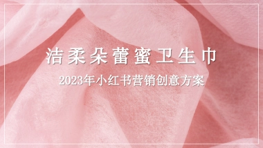 朵蕾蜜卫生巾2023年小红书营销创意方案