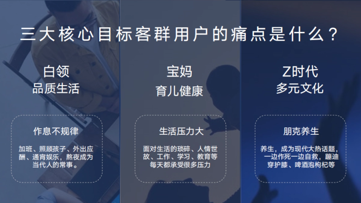 2022年鹤年堂全年营销方案_第5页