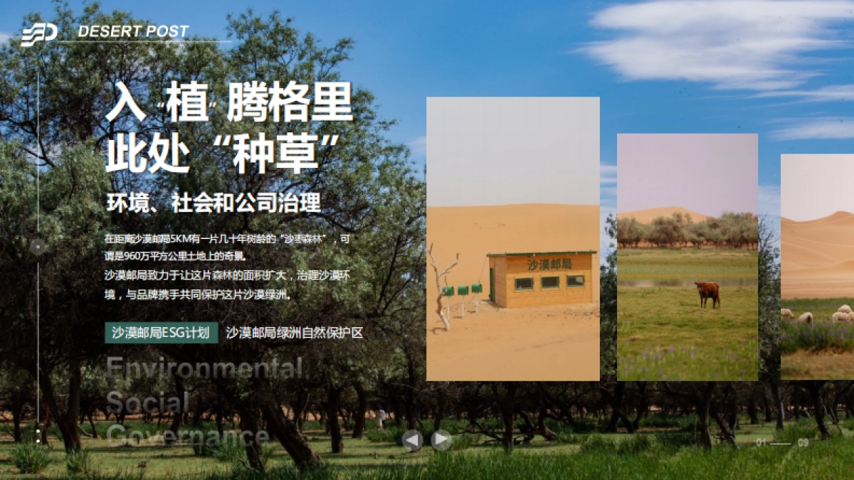 2023沙漠邮局6月商业合作_第10页