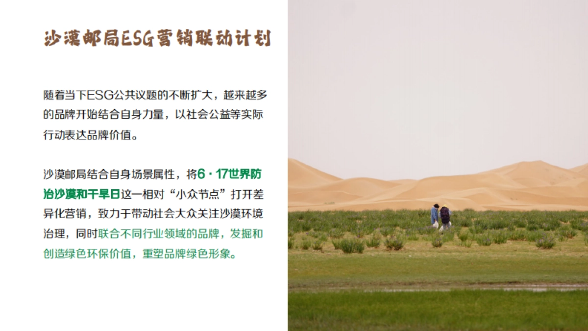 2023沙漠邮局6月商业合作_第9页