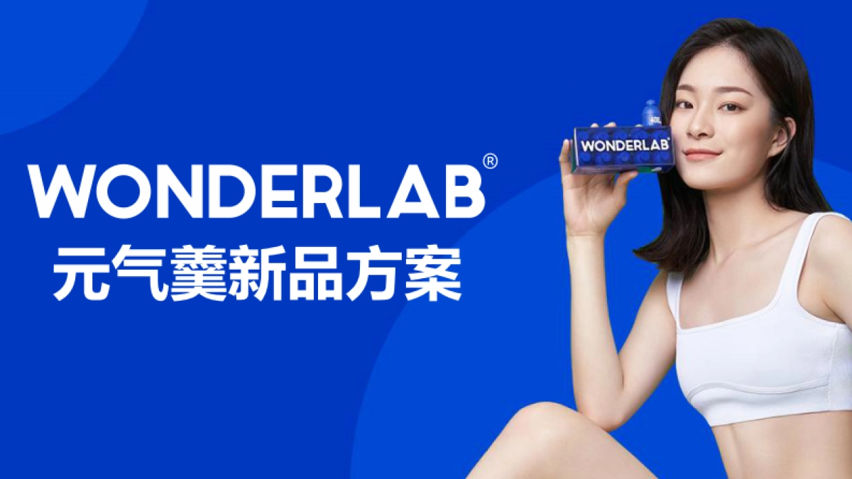 Wonderlab元气羹新品方案_第1页