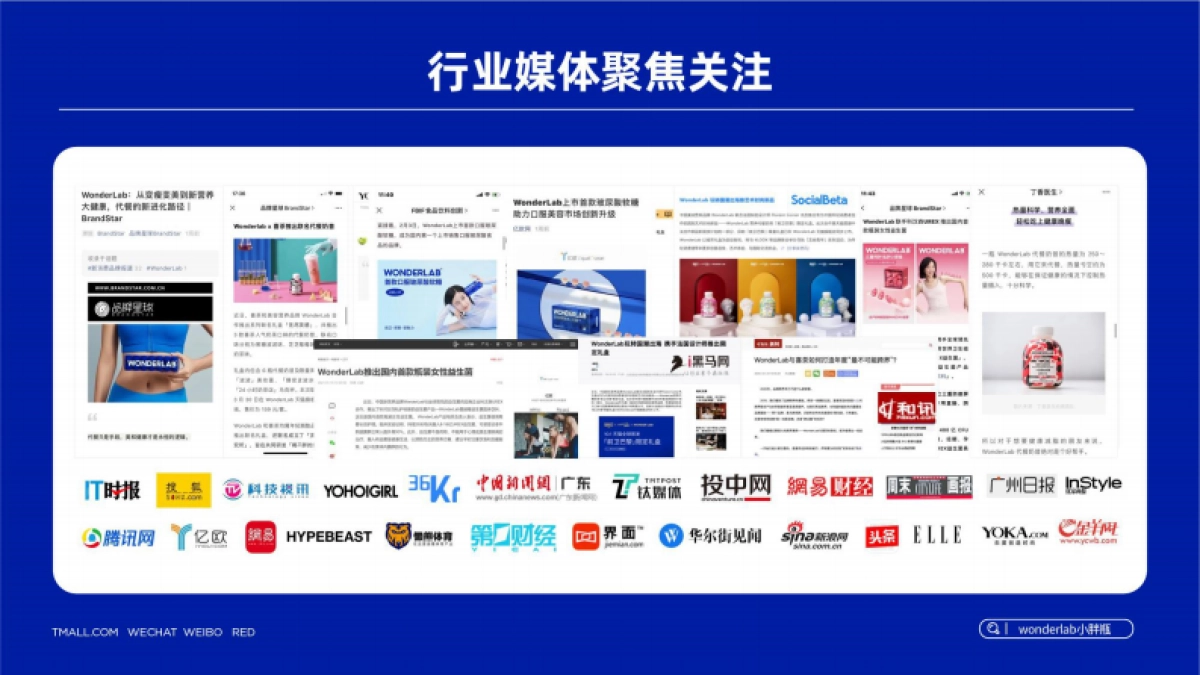 Wonderlab元气羹新品方案_第9页