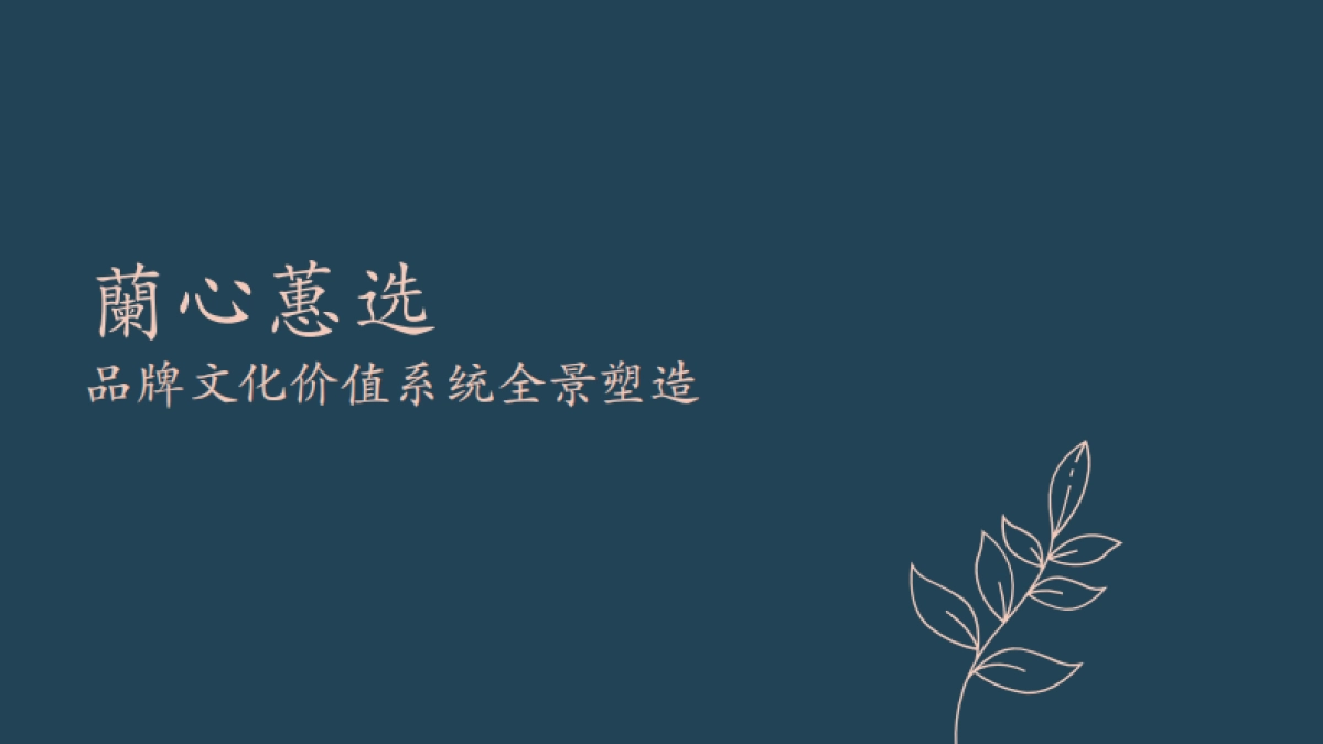 兰心蕙选品牌文化价值系统全景塑造_第1页