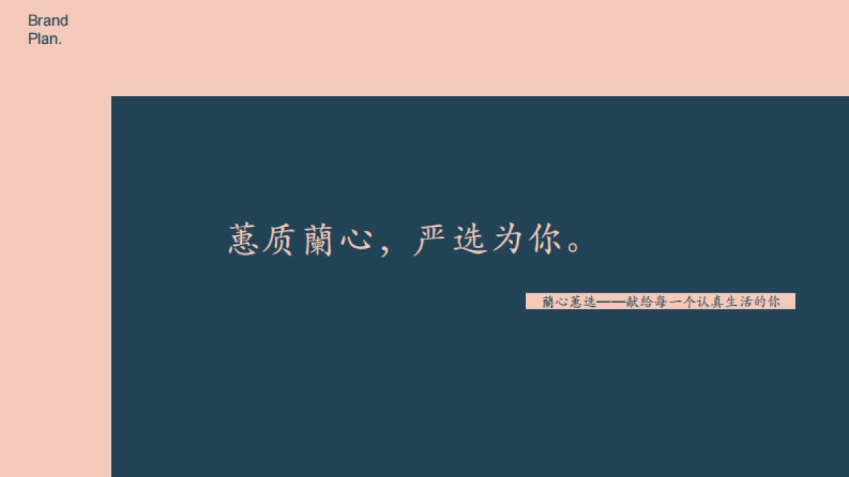 兰心蕙选品牌文化价值系统全景塑造_第2页