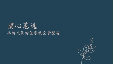 兰心蕙选品牌文化价值系统全景塑造