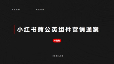 小红书蒲公英组件营销通案