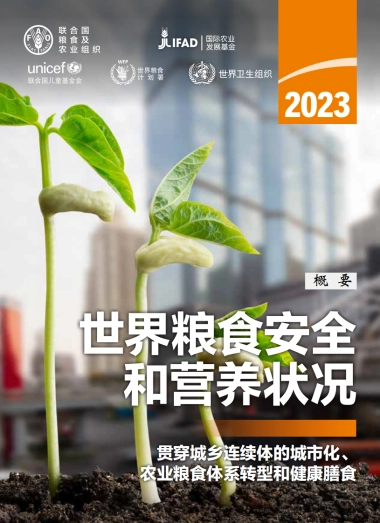 FAO：2023世界粮食安全和营养状况