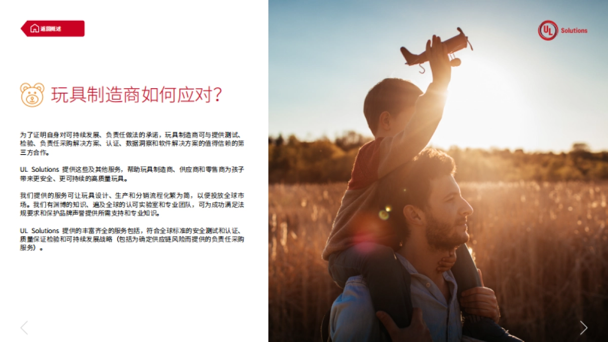 UL Solutions：可持续玩具：值得信赖的发展之路_第9页